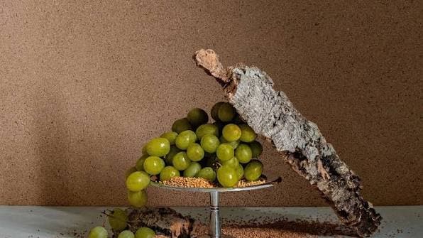 Materia Viva Sughero